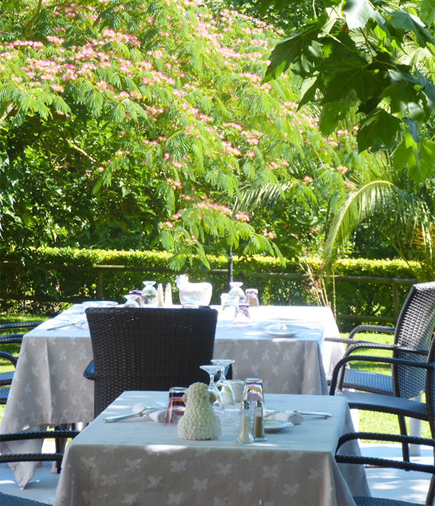 Hôtel Restaurant Du Tourisme - restaurant SERVANCE